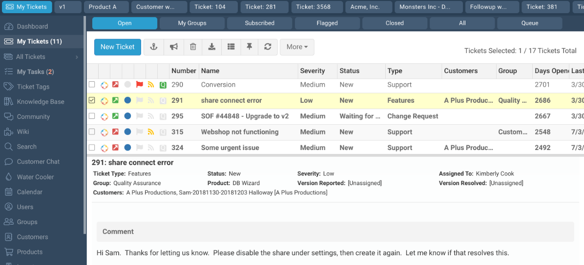  screenshot - Recensione di TeamSupport: spiegazione di vantaggi, svantaggi, funzionalità e prezzi
