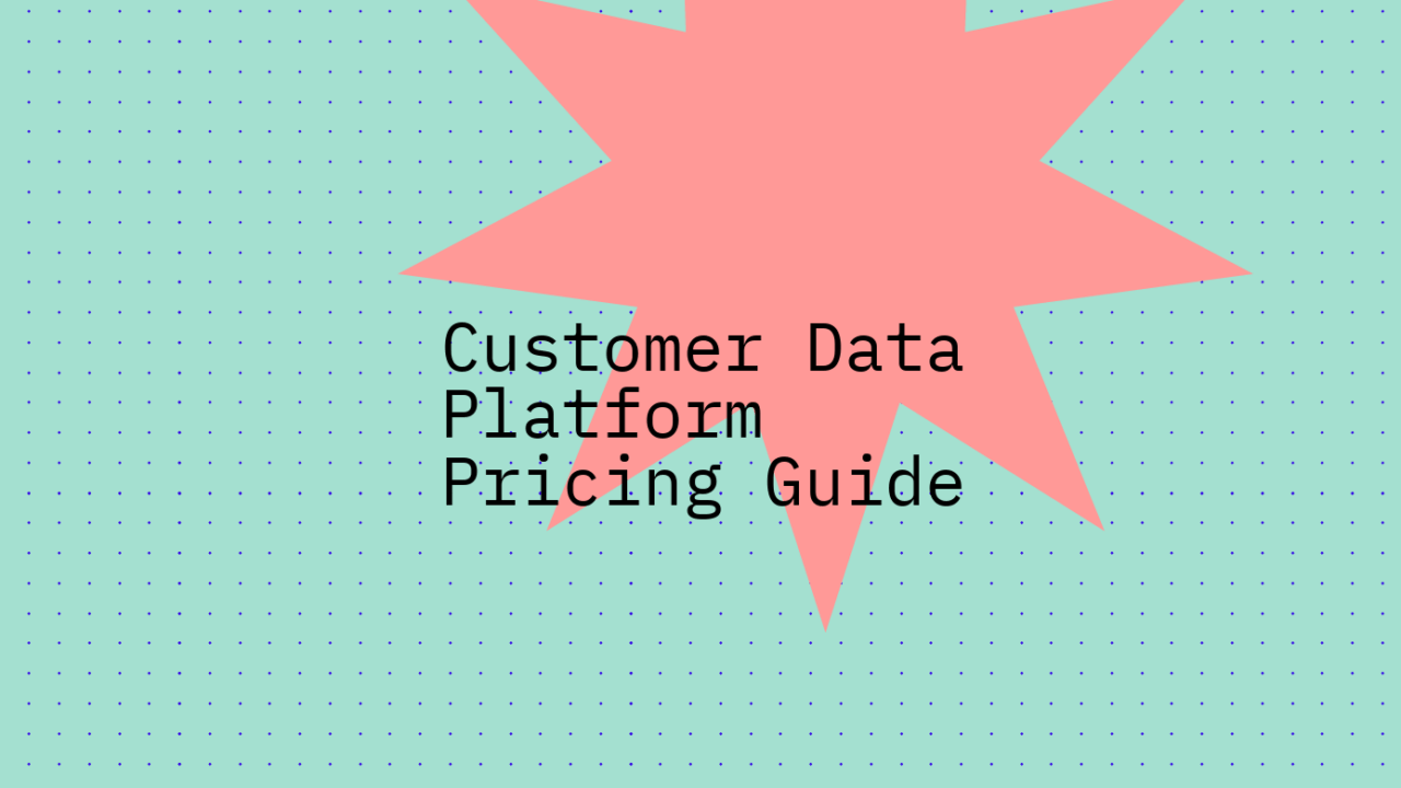 Customer data platform pricing guide standard editorial post