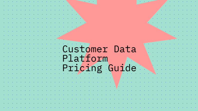 Customer data platform pricing guide standard editorial post